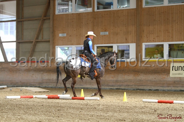 26-ApHC GT_142.jpg